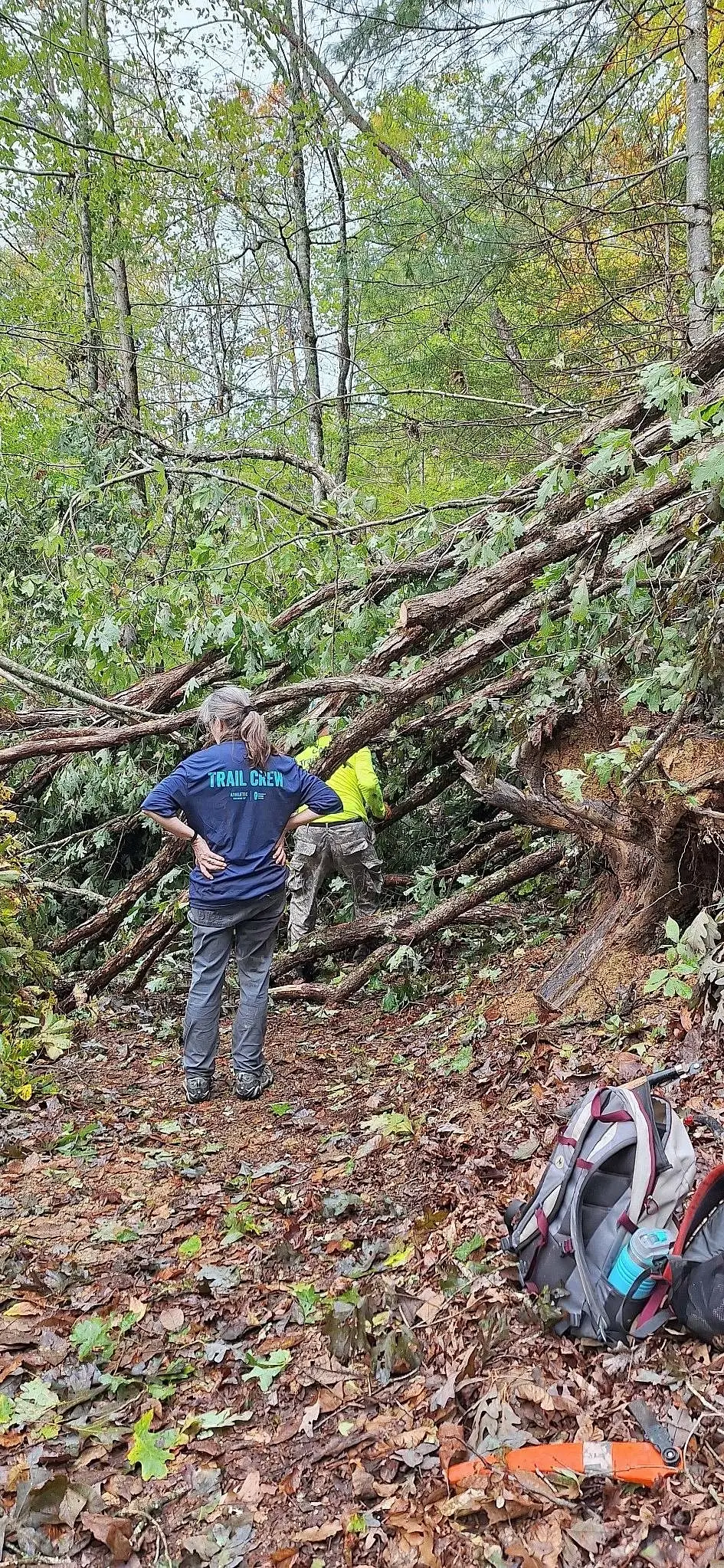 (All Women+ Crew) Support Hurricane Recovery at Hungry Mother State Park, VA (Weekend Trip)