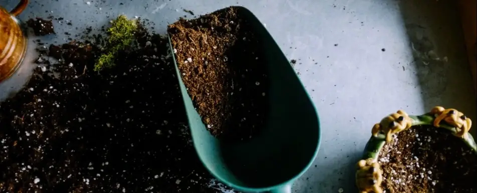 A hand shovel full of dirt.