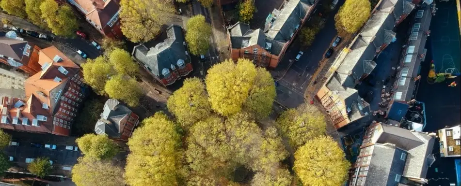 An overhead shot of a neighborhood.