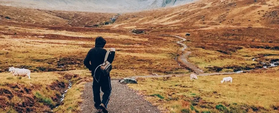 A person with a backpack walking down a path in a field.