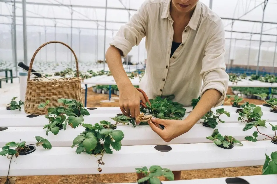 Mujer cuidando un jardín