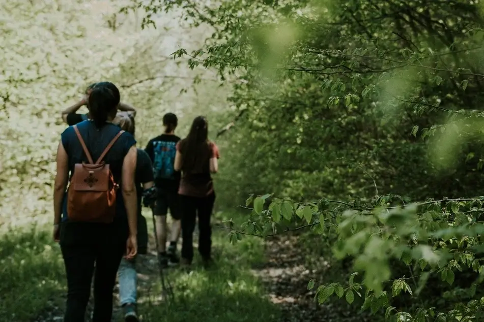 Grupo de personas caminando en un bosque