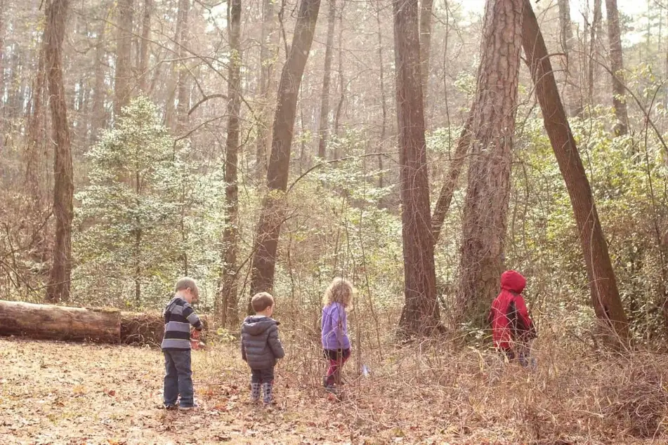 A photograph of several kids part of a nature group playing in a forest.