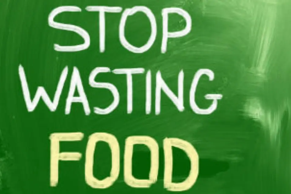 Afiche que dice Stop Wasting Food (Basta de Desperdiciar Alimentos)