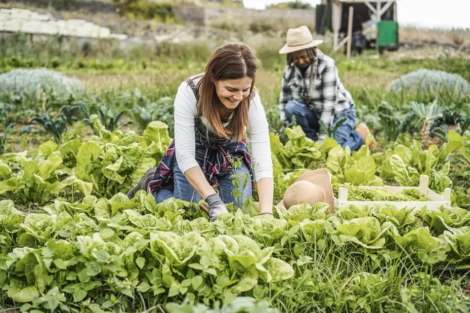 women working on a social-impact farm, smiling surrounded by leafy greens growing around her.