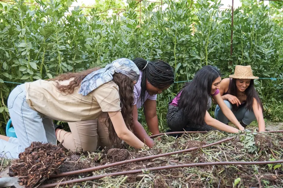 Group of women farmers working together.