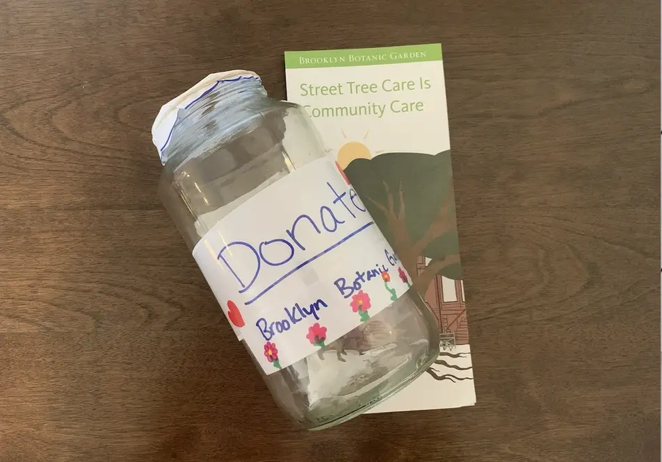 A donation jar and a pamphlet for the Brooklyn Botanic Garden