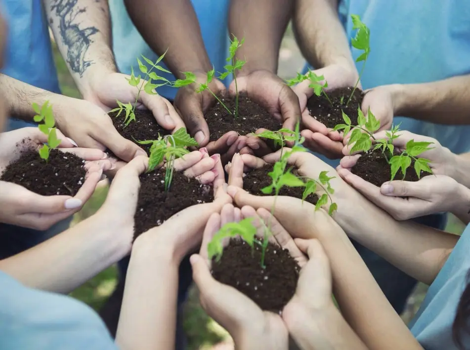 Foto de várias mãos segurando mudinhas de plantas