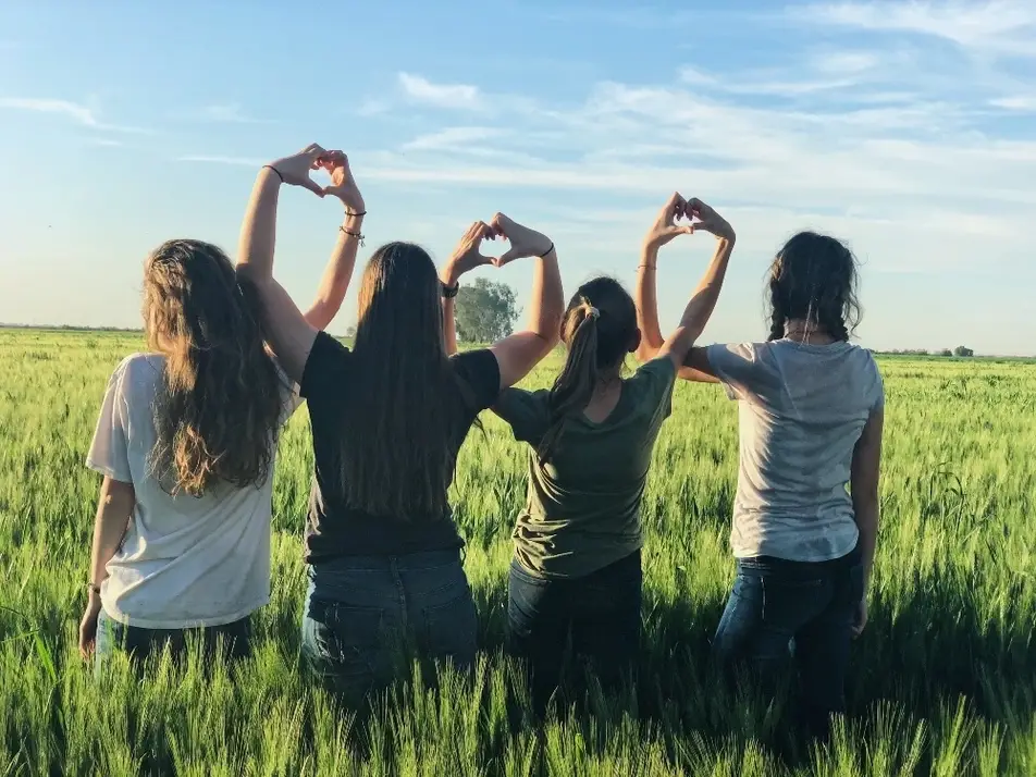 Cuatro jóvenes en el campo uniendo sus manos formando corazones