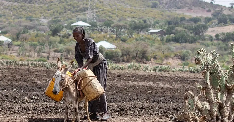 VOLUNTEER IN ETHIOPIA