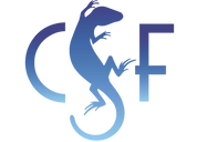 Logo of Conservation Strategy Fund